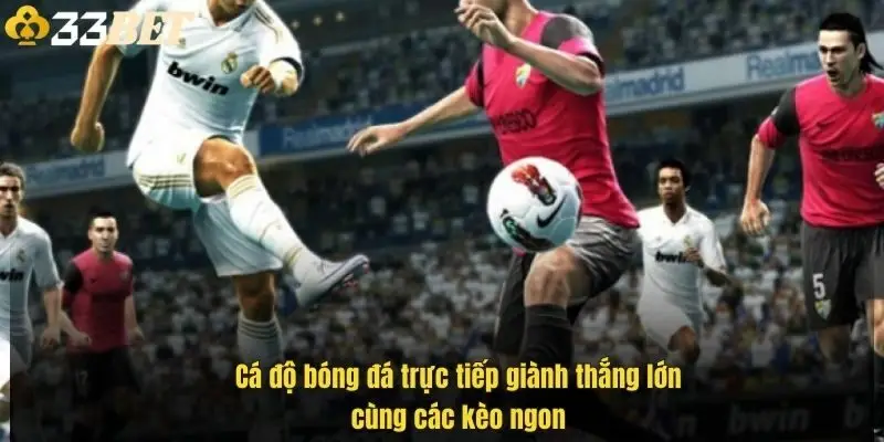 ca-do-bong-da-truc-tiep-gianh-thang-lon-cung-cac-keo-ngon-1