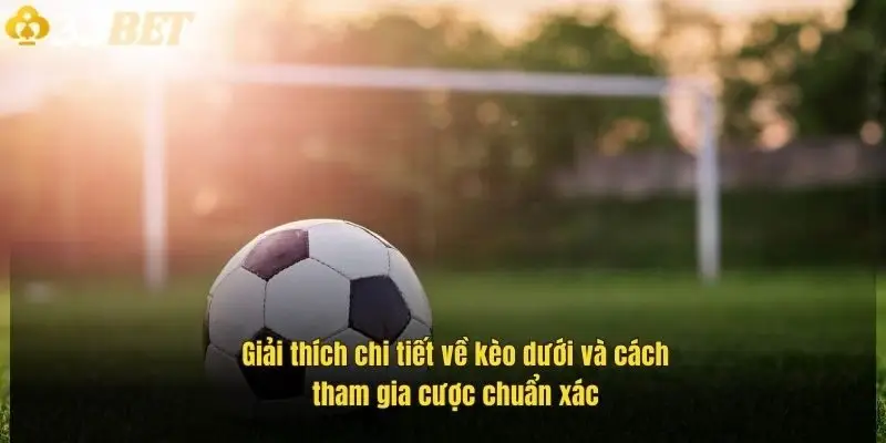 giai-thich-chi-tiet-ve-keo-duoi-va-cach-tham-gia-cuoc-chuan-xac-1
