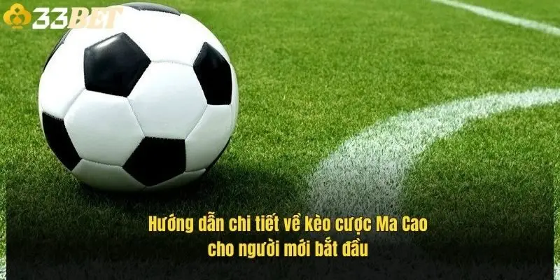 huong-dan-chi-tiet-ve-keo-cuoc-ma-cao-cho-nguoi-moi-bat-dau-1