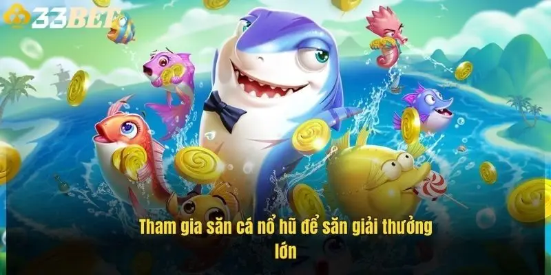 tham-gia-san-ca-no-hu-de-san-giai-thuong-lon-1