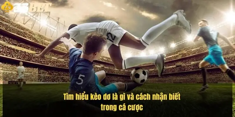 tim-hieu-keo-do-la-gi-va-cach-nhan-biet-trong-ca-cuoc-1